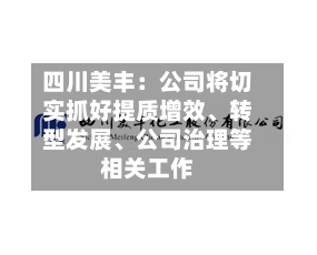 四川美丰：公司将切实抓好提质增效、转型发展	、公司治理等相关工作-第2张图片