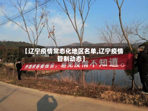 【辽宁疫情常态化地区名单,辽宁疫情管制动态】-第2张图片