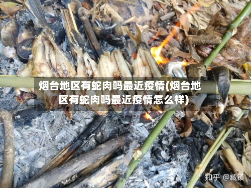烟台地区有蛇肉吗最近疫情(烟台地区有蛇肉吗最近疫情怎么样)-第2张图片