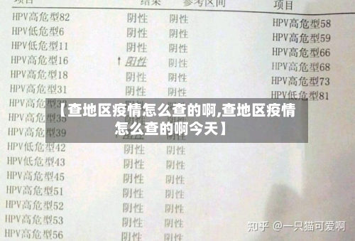 【查地区疫情怎么查的啊,查地区疫情怎么查的啊今天】