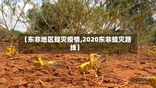 【东非地区蝗灾疫情,2020东非蝗灾路线】