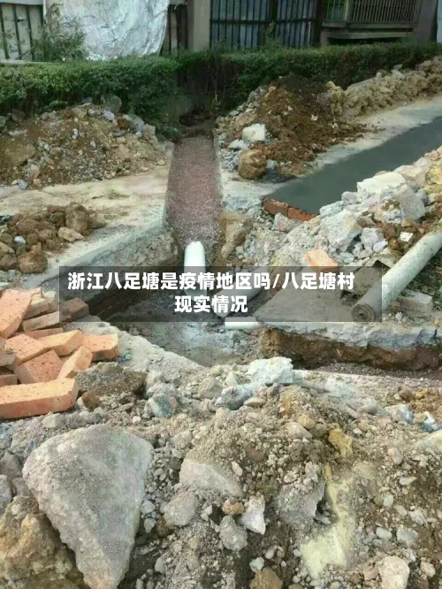 浙江八足塘是疫情地区吗/八足塘村现实情况-第3张图片