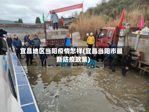 宜昌地区当阳疫情怎样(宜昌当阳市最新防疫政策)-第2张图片