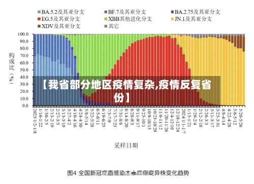 【我省部分地区疫情复杂,疫情反复省份】