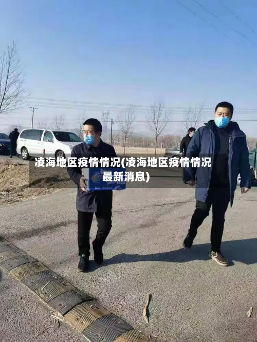 凌海地区疫情情况(凌海地区疫情情况最新消息)