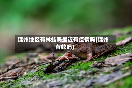 锦州地区有林蛙吗最近有疫情吗(锦州有蛇吗)