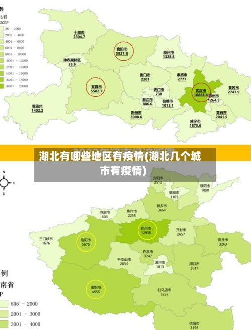 湖北有哪些地区有疫情(湖北几个城市有疫情)-第3张图片