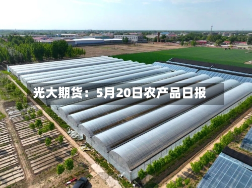 光大期货:5月20日农产品日报-第3张图片